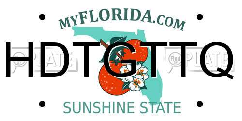 HDTGTTQ Florida License Plate