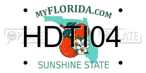 HDTI04 Florida License Plate