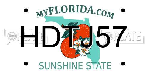 HDTJ57 Florida License Plate