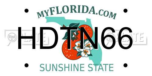 HDTN66 Florida License Plate