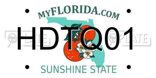 HDTQ01 Florida License Plate