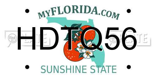 HDTQ56 Florida License Plate