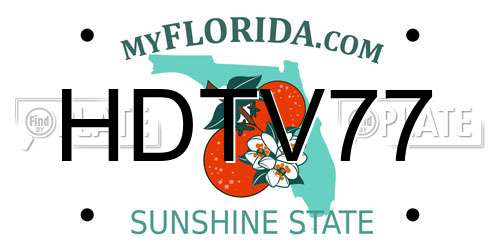 HDTV77 Florida License Plate