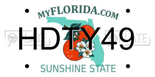 HDTY49 Florida License Plate