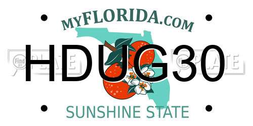 HDUG30 Florida License Plate