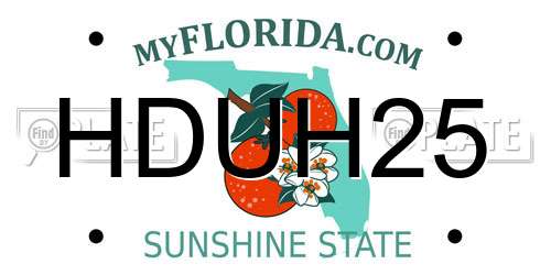 HDUH25 Florida License Plate