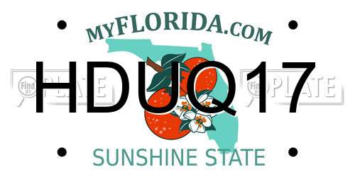 HDUQ17 Florida License Plate