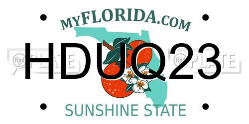 HDUQ23 Florida License Plate