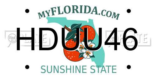 HDUU46 Florida License Plate