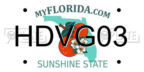 HDVG03 Florida License Plate