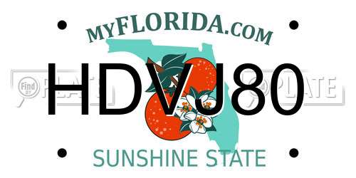 HDVJ80 Florida License Plate