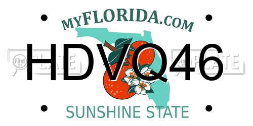 HDVQ46 Florida License Plate