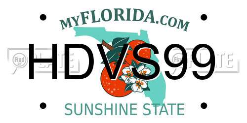 HDVS99 Florida License Plate