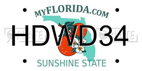 HDWD34 Florida License Plate