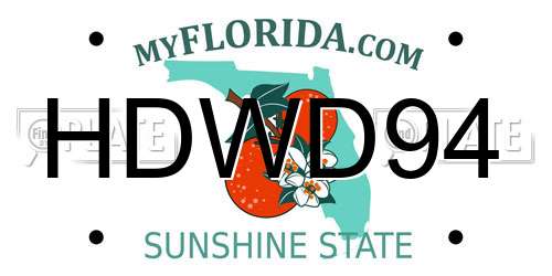 HDWD94 Florida License Plate