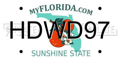 HDWD97 Florida License Plate
