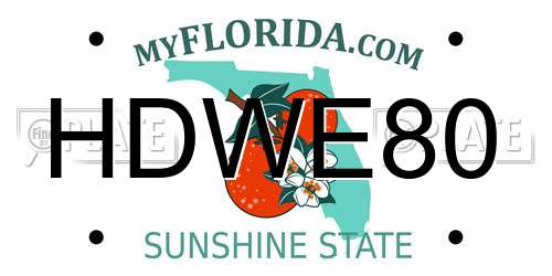 HDWE80 Florida License Plate