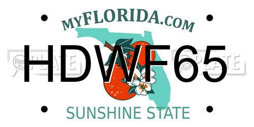 HDWF65 Florida License Plate