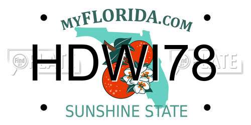 HDWI78 Florida License Plate
