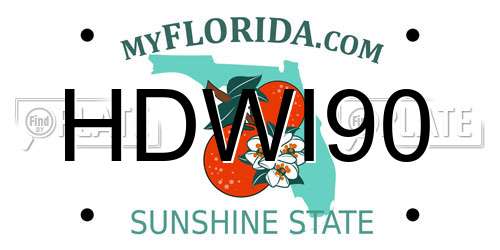 HDWI90 Florida License Plate