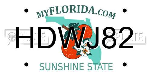 HDWJ82 Florida License Plate