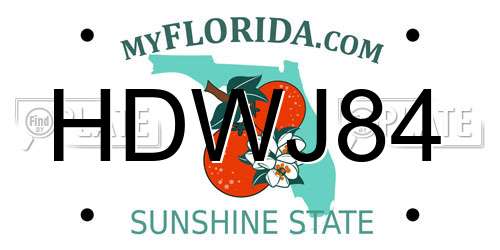 HDWJ84 Florida License Plate