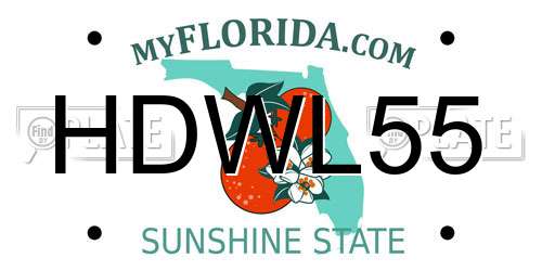 HDWL55 Florida License Plate