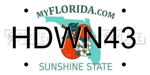 HDWN43 Florida License Plate