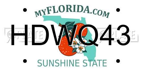 HDWQ43 Florida License Plate