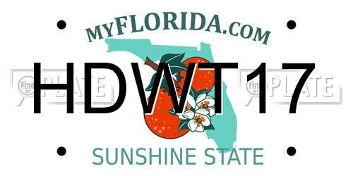 HDWT17 Florida License Plate