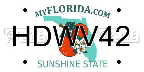 HDWV42 Florida License Plate