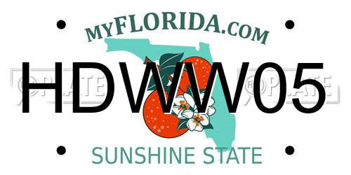 HDWW05 Florida License Plate