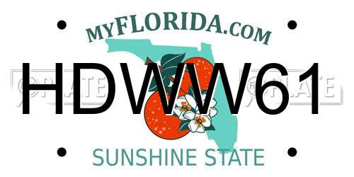 HDWW61 Florida License Plate
