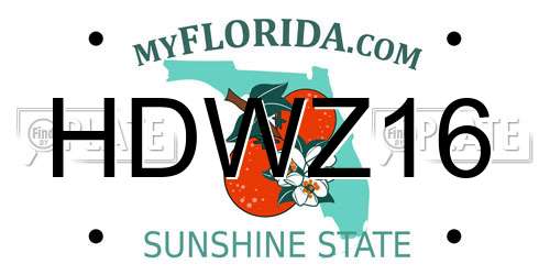 HDWZ16 Florida License Plate