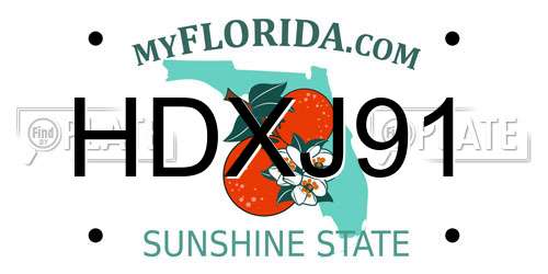 HDXJ91 Florida License Plate