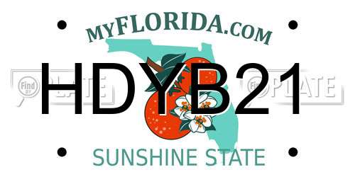HDYB21 Florida License Plate