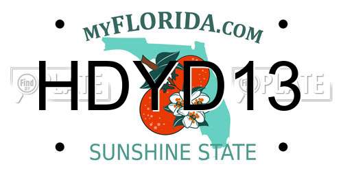 HDYD13 Florida License Plate