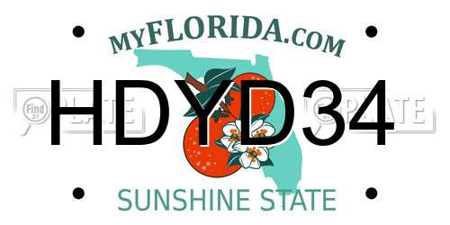 HDYD34 Florida License Plate
