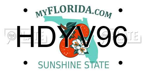 HDYV96 Florida License Plate