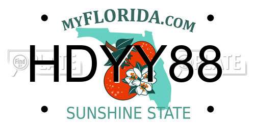 HDYY88 Florida License Plate