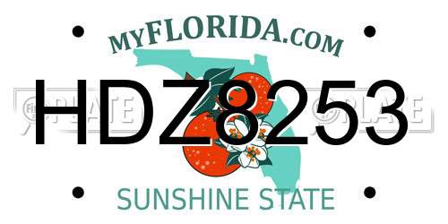HDZ8253 Florida License Plate