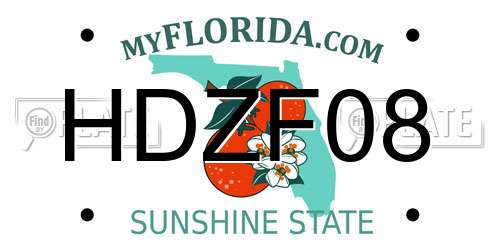HDZF08 Florida License Plate