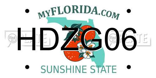 HDZG06 Florida License Plate