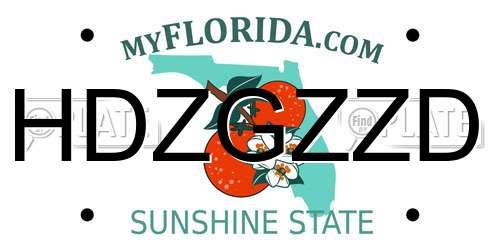 HDZGZZD Florida License Plate
