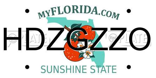 HDZGZZO Florida License Plate