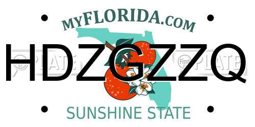 HDZGZZQ Florida License Plate