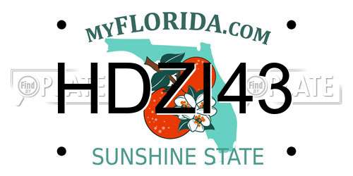 HDZI43 Florida License Plate