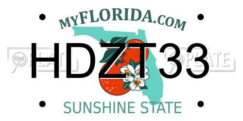 HDZT33 Florida License Plate