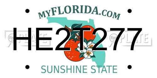HE2T277 Florida License Plate
