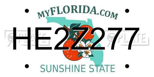 HE2Z277 Florida License Plate